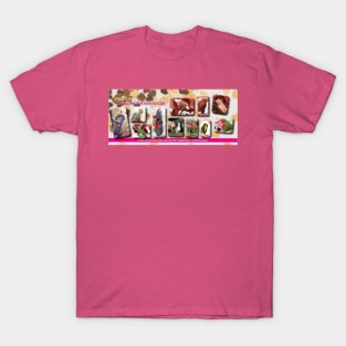 Valentine birds T-Shirt